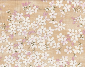 20,90 Eur/m Stoff aus Japan traditionell Baumwolle Dobby Kirschblüten 50cm x 110cm Sakura creme