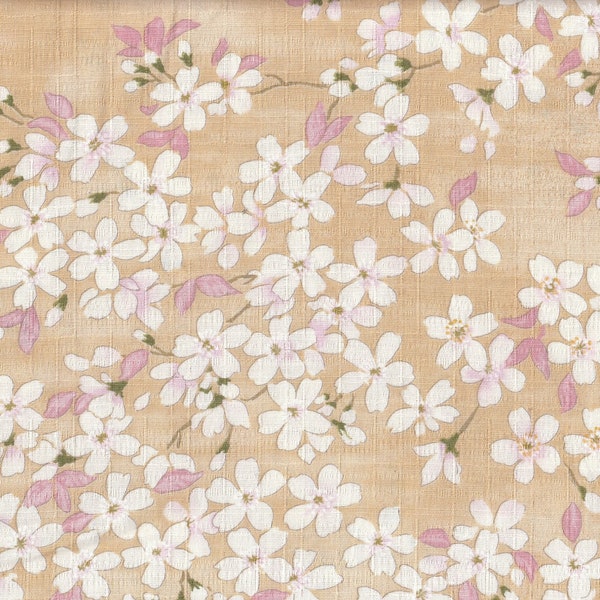 20,90 Eur/m Stoff aus Japan traditionell Baumwolle Dobby Kirschblüten 50cm x 110cm Sakura creme