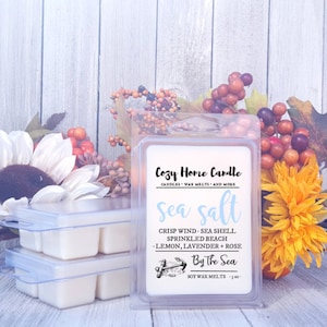 Salt Air + Honeydew - Soy Wax Melts | Salt Air Wax Melts | High Scent Wax Melts | Ocean Wax Melts | Fresh Wax Melts | Salty Wax Melts