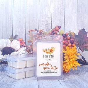 Pumpkin Spice Latte - Fall Wax Melts | Artisan Wax Melts | Soja Wax Melts | Wax Melts Pompoen Latte | Pompoenwas smelt | Latte Wax Melt