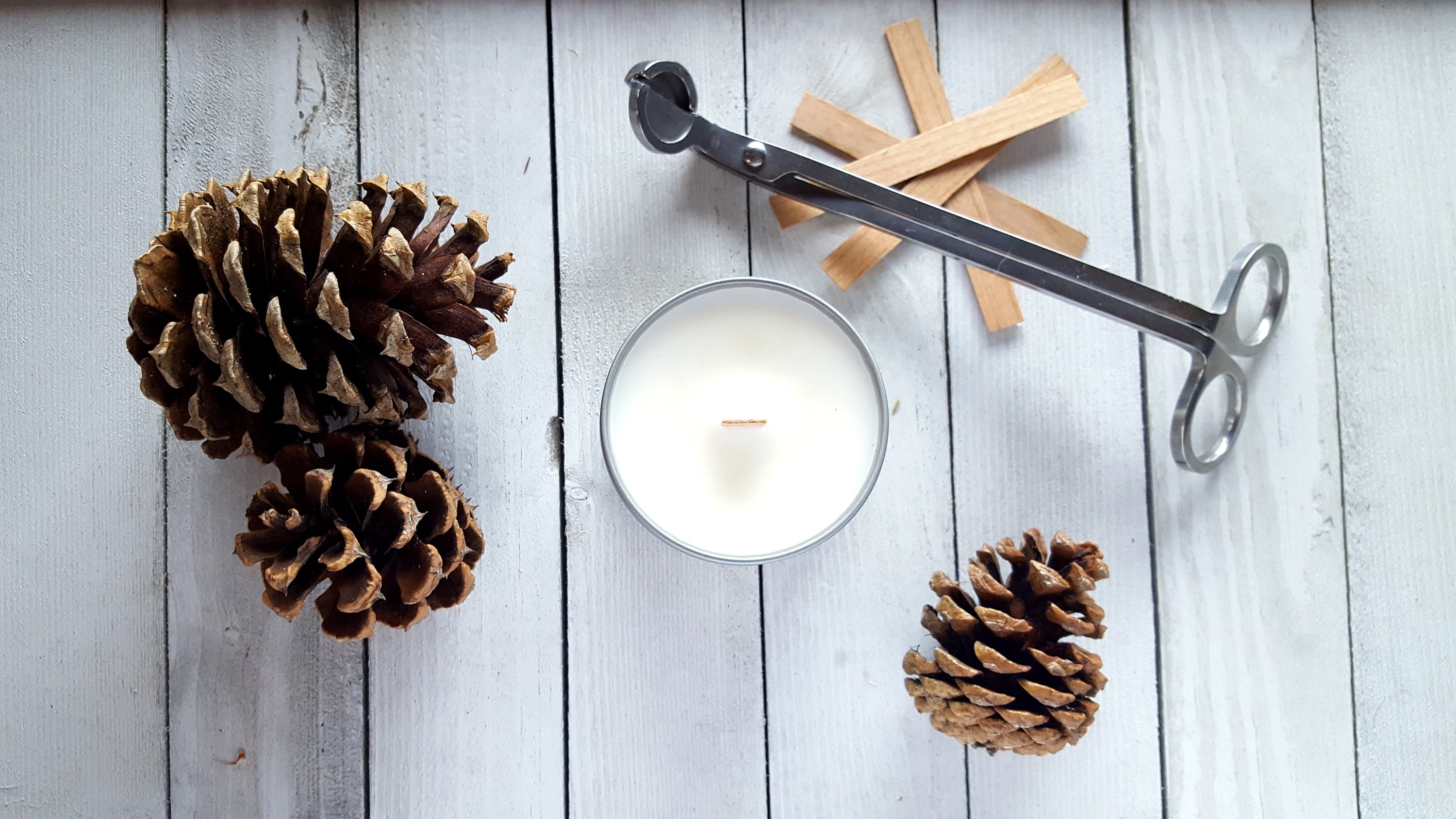 Fruity and Herbal Candles CLEARANCE Soy Candles Floral Herbal Fruity