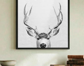 Black and White Mule Deer Wall Art - Western Wildlife Print