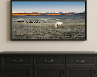 Panoramic White Bison Canvas Print - Western Buffalo Wall Art