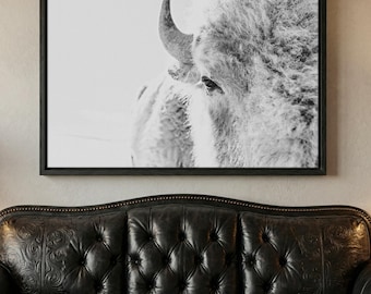 Black and White Buffalo Wall Art - White Bison Canvas Print