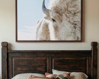 White Bison Wall Art - Western Wildlife Canvas Print