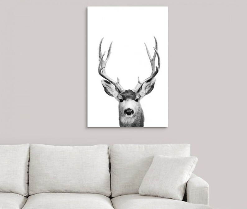 mule deer wall art Animal horns print extra large canvas print minimalist wall art modern wildlife art oversize wall art Colorado art