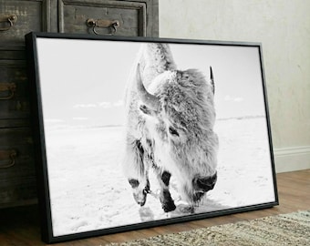 Black and White Bison Wall Art - Western Buffalo Photo Print