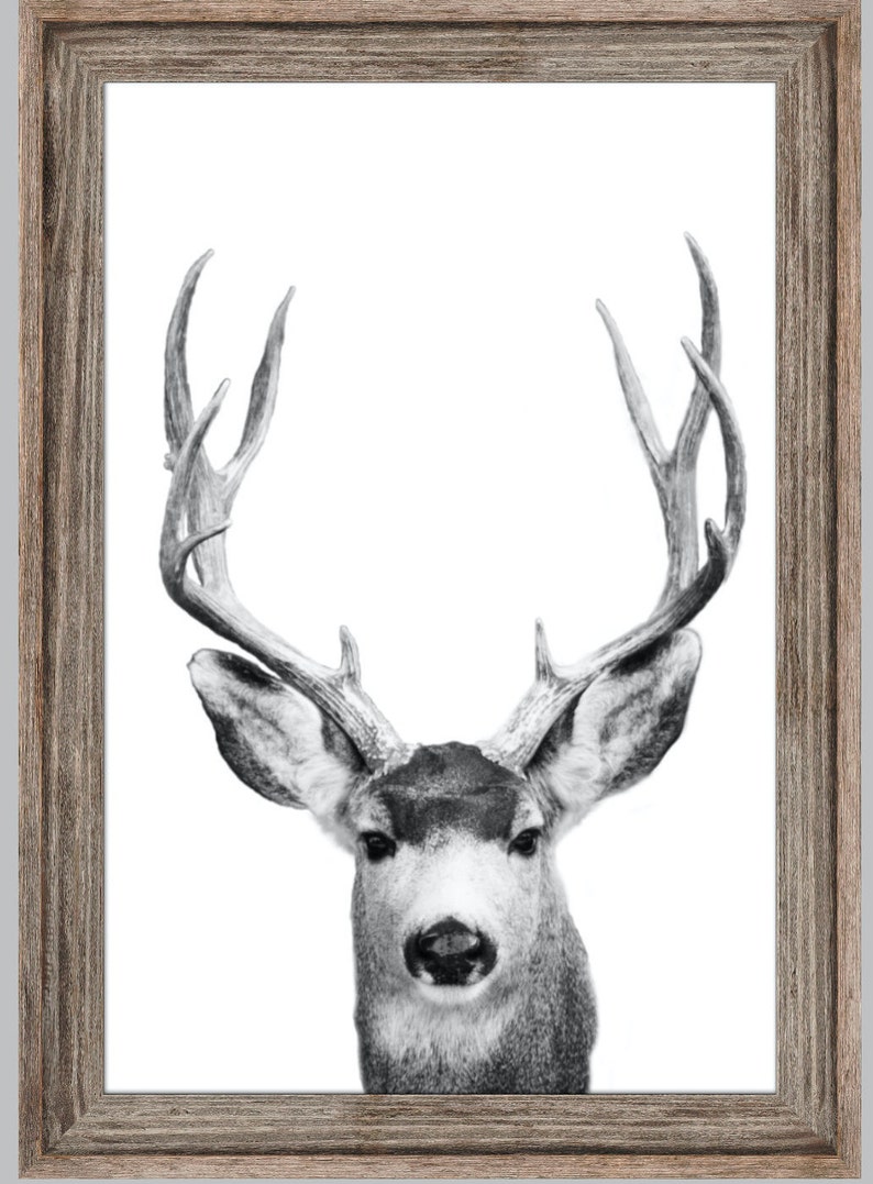 mule deer wall art Animal horns print extra large canvas print minimalist wall art modern wildlife art oversize wall art Colorado art
