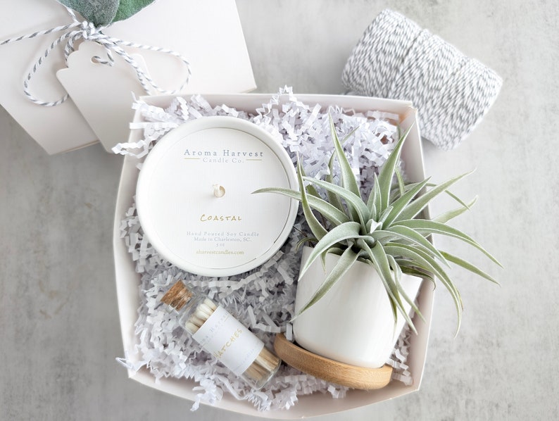 Aroma Harvest Candle Co. Candle & Air Plant - Thumbnail 4
