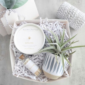 May include: A gift box containing a white Aroma Harvest Candle Co. Coastal soy candle, a small glass bottle of matches, and a grey and white patterned ceramic planter with a green air plant, all nestled in white shredded paper filler.