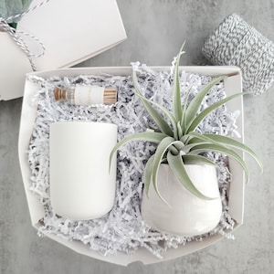 Candle & Large Air Plant Gift Box | Thank You Gift, Client Thank You Gift, Hostess Thank You Gift, Thank You Gift For Women, Candle Gift Box