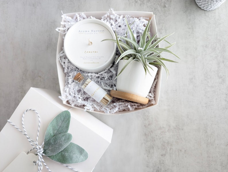 Aroma Harvest Candle Co. Candle & Air Plant - Thumbnail 3