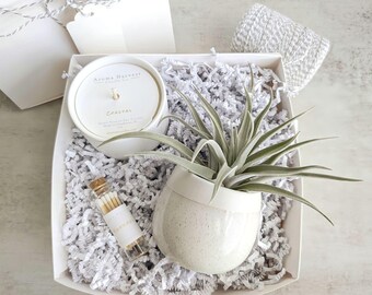 Soy Candle & Air Plant Gift Box:  Housewarming, Client Gift, Thank you