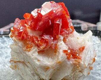 Bright Red Vanadinite Crystals on Matrix from Morocco