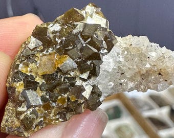Garnet with Quartz from Colorado, USA