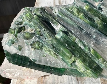 Large Cabinet Tourmaline in Quartz from Minas Gerais, Brazil