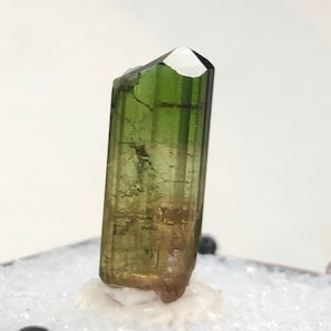 Elbaite Tourmaline Crystal from Barra De Salinas Brazil