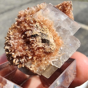 Pode incluir: Um espécime mineral com um aglomerado de cristais em forma de agulha de cor pêssego, fixado a um cristal cúbico maior, translúcido e incolor. O espécime está montado numa base de exposição quadrada de acrílico transparente.