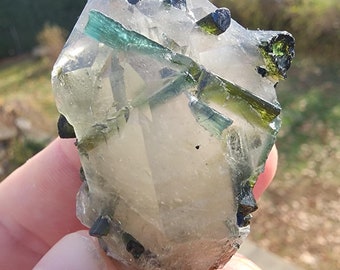Tourmaline in Quartz from Minas Gerais, Brazil