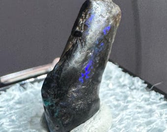 Black Opal Limb Cast Fossil from Virgin Valley, Nevada, USA
