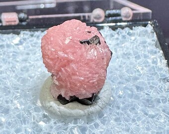 Botryoidal Rhodochrosite from Potosi Mine, Mexico
