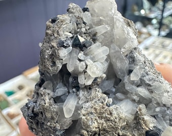 Brookite with Quartz from Arkansas, USA