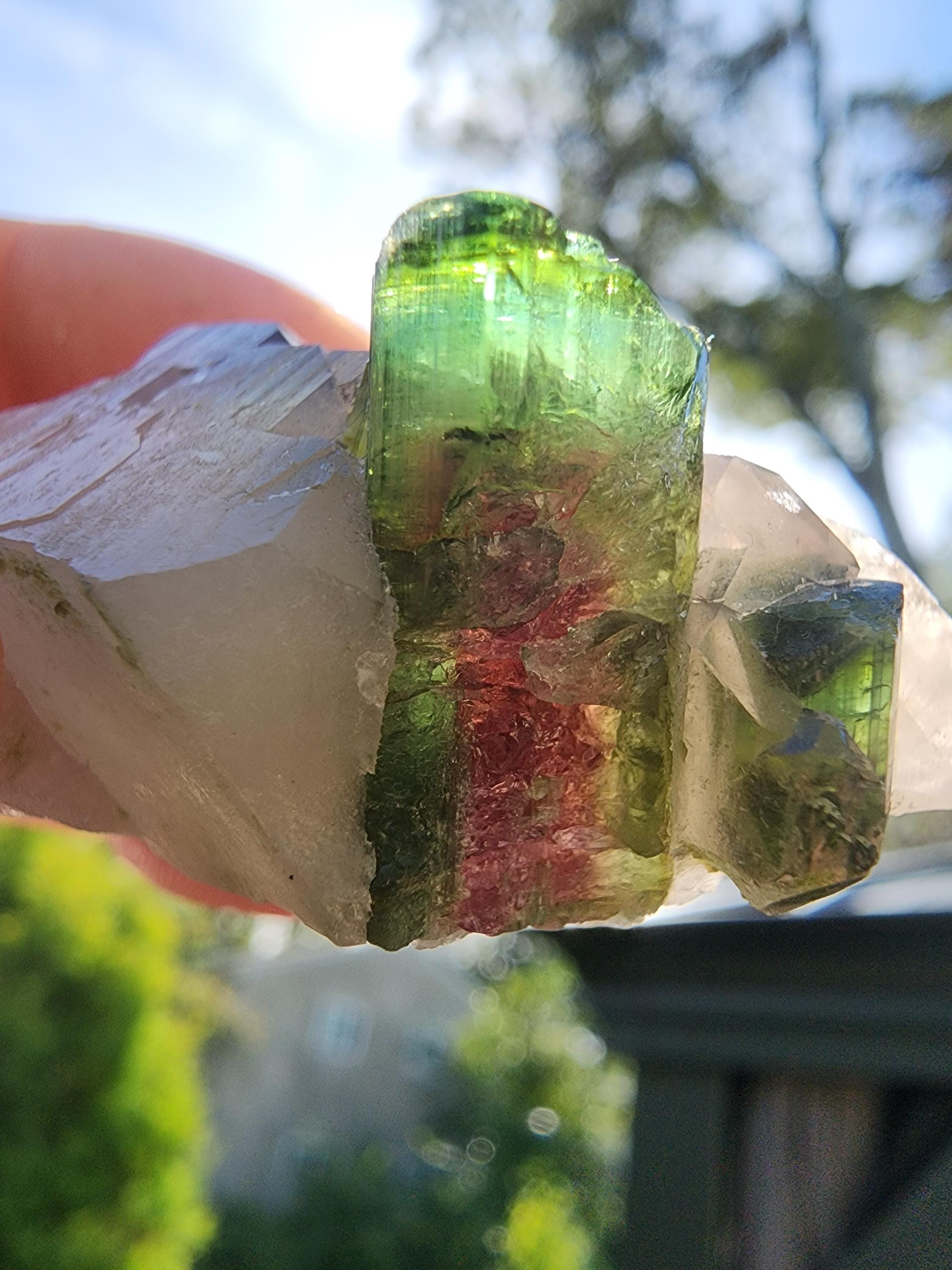 【ブラジル/ミナスジェライス産】ウォーターメロントルマリン ブラジル ミナスジェライス州産 ウォーターメロントルマリンの