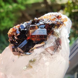 Turmalin var. Dravite på Magnesit från Brumado, Bahia, Brasilien
