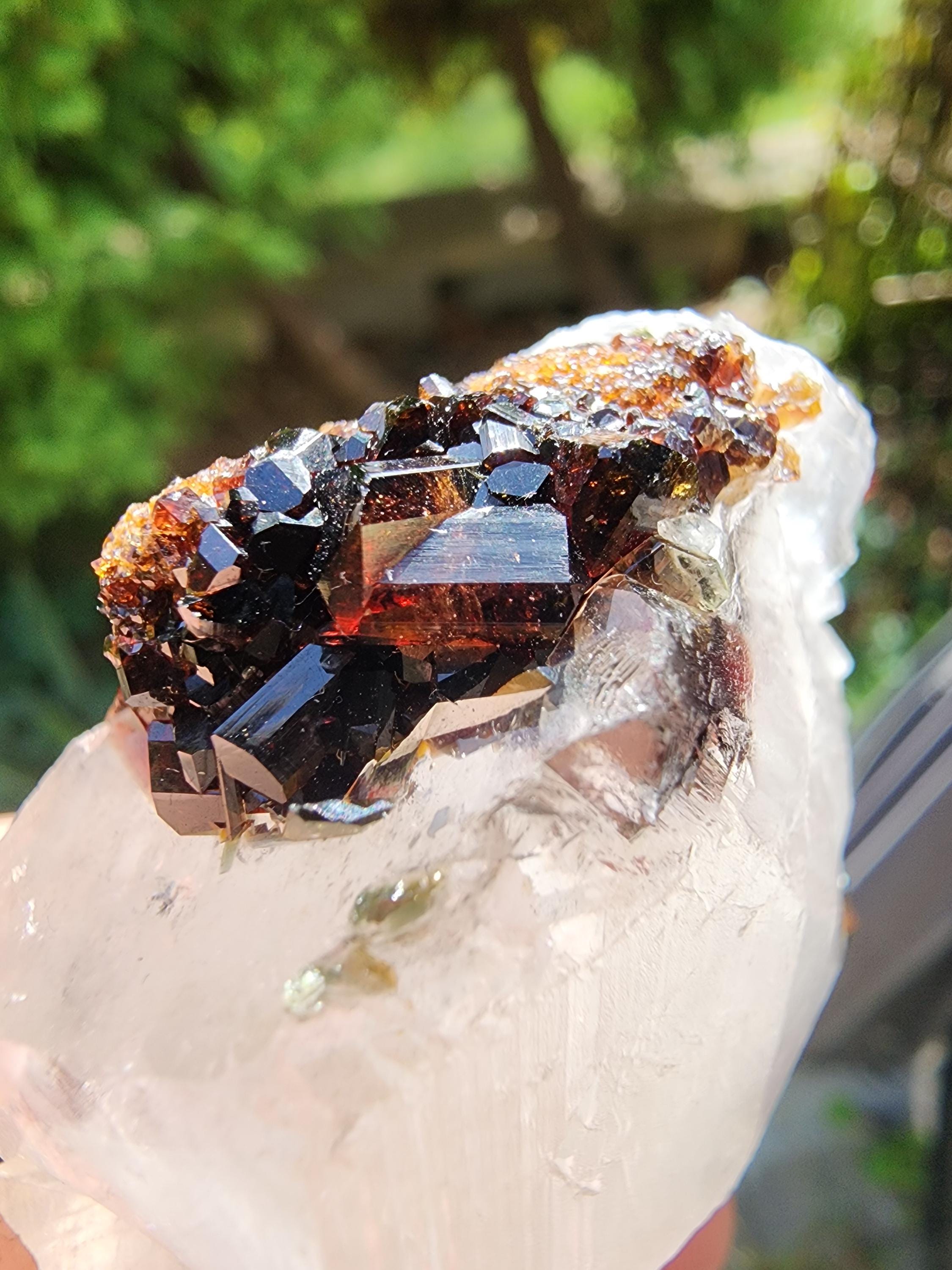 Tourmaline dravite - Etsy 日本