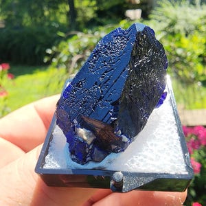 Azurite Crystal from Milpillas Mine, Mexico