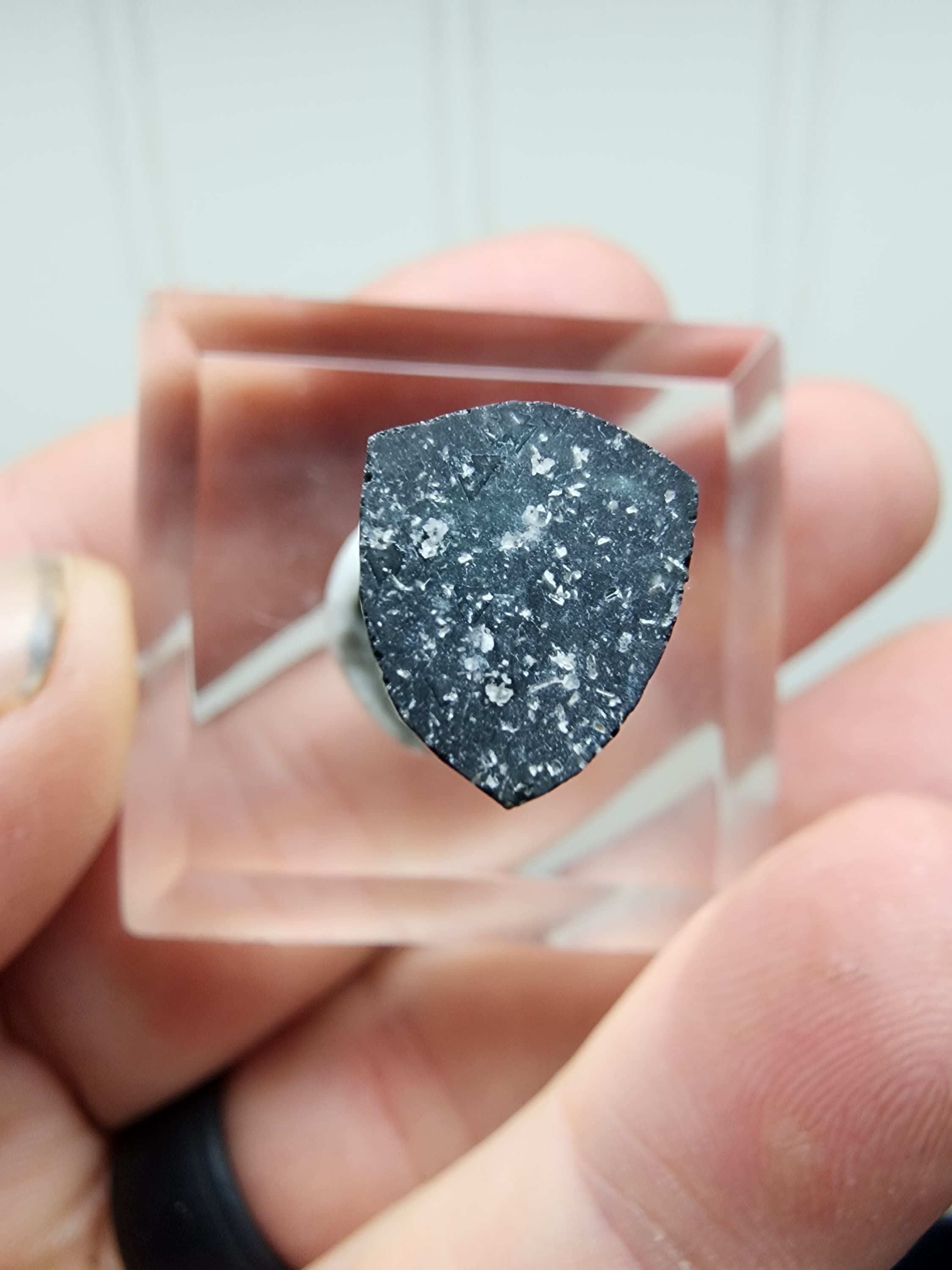 ブラジル、ミナスジェライス州、アリカンガ鉱山産のトルマリン結晶