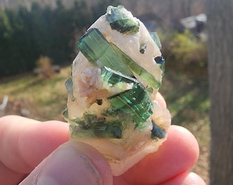 Tourmaline in Quartz from Minas Gerais, Brazil