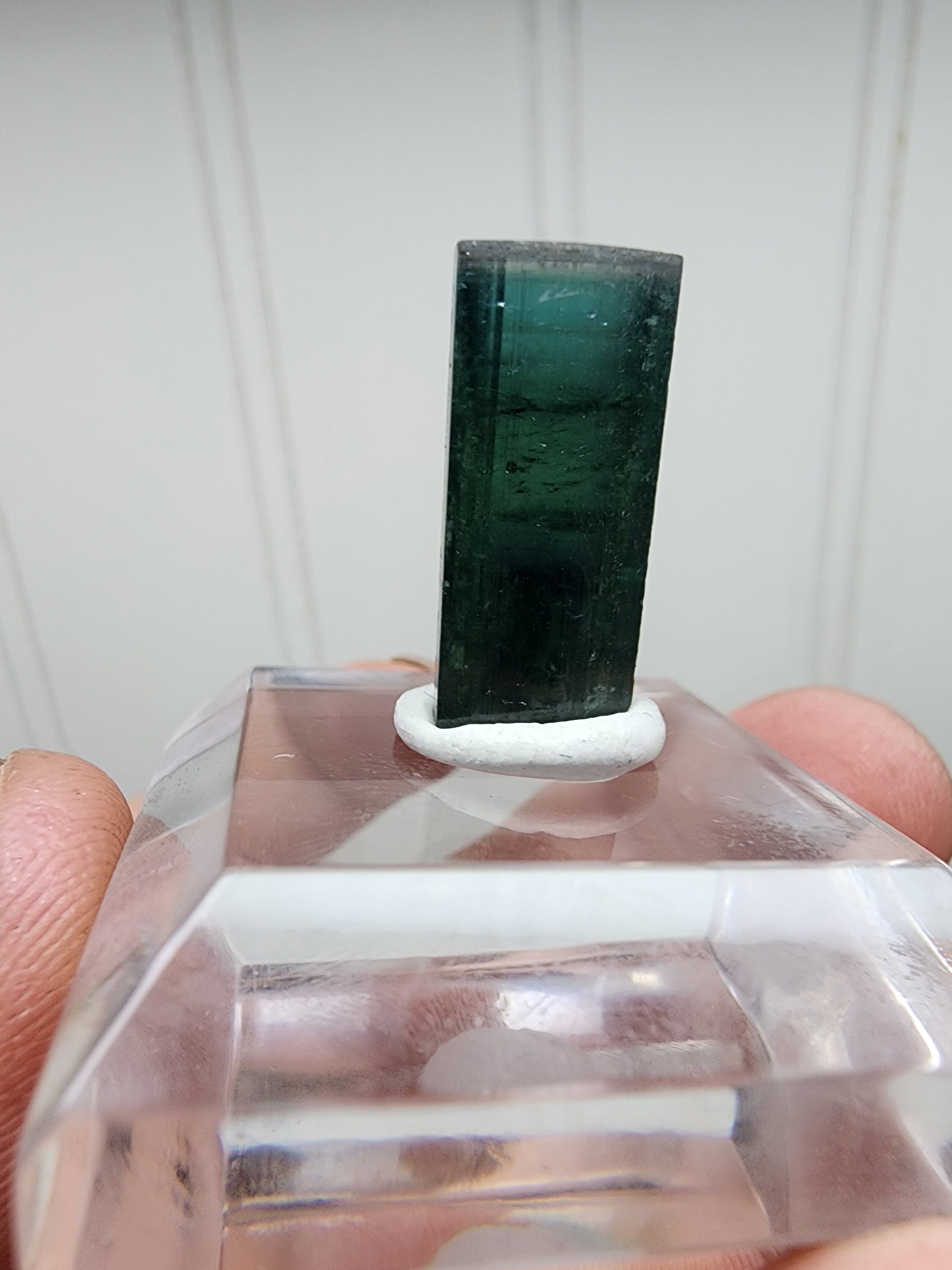 ブラジル、ミナスジェライス州、アリカンガ鉱山産のトルマリン結晶