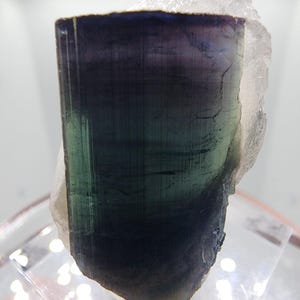 Terminated Tourmaline var. Indicolite in Quartz from Minas Gerais, Brazil
