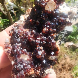 Red Spessartine Garnet Crystals on Matrix from China