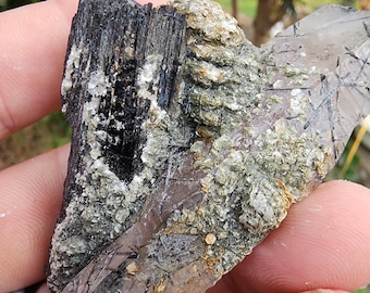 Tormalina varietà Schorl con muscovite e quarzo