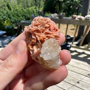 K&ouml;nnte beinhalten: Ein Cluster aus rosa und wei&szlig;en Kristallen. Die rosa Kristalle sind in einer geschichteten, f&auml;cherf&ouml;rmigen Formation angeordnet. Die wei&szlig;en Kristalle sind klar und haben eine eher blockige Form.