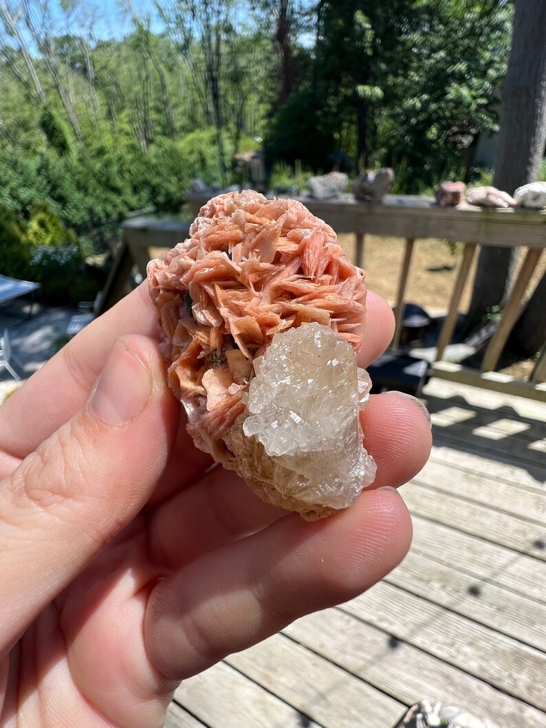 K&ouml;nnte beinhalten: Ein Cluster aus rosa und wei&szlig;en Kristallen. Die rosa Kristalle sind in einer geschichteten, f&auml;cherf&ouml;rmigen Formation angeordnet. Die wei&szlig;en Kristalle sind klar und haben eine eher blockige Form.