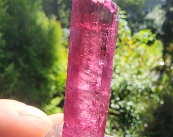 6 Grams Rubellite Tourmaline Crystal from Brazil