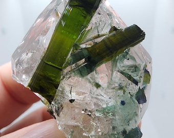 Gem Green Tourmaline in Quartz from Minas Gerais, Brazil