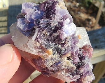 May include: A hand holds a raw, natural mineral specimen. The stone features layers of deep purple and lavender crystalline formations atop a base of white quartz. Small, tan-colored inclusions are visible throughout the stone, with sunlight reflecting off the surfaces.