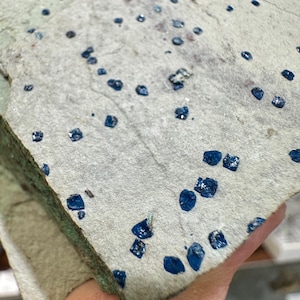May include: A light gray, flat, textured rock specimen featuring numerous small, deep blue, crystalline inclusions scattered across its surface. The mineral formations appear as distinct, dark blue, geometric shapes embedded within the stone matrix.