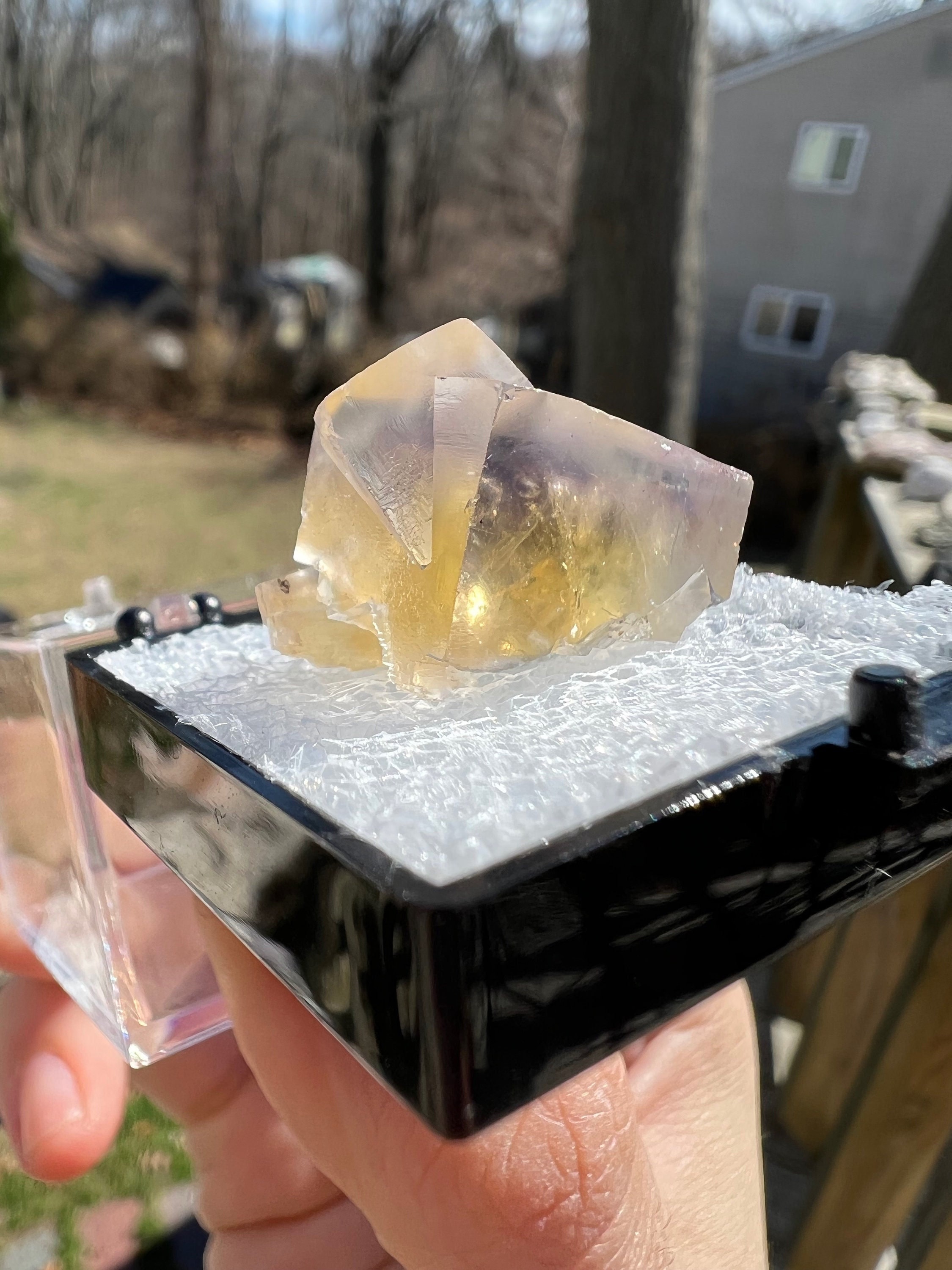 157 UK レディアナベラ鉱山 Harvest Pocket フローライト 【公式通販】