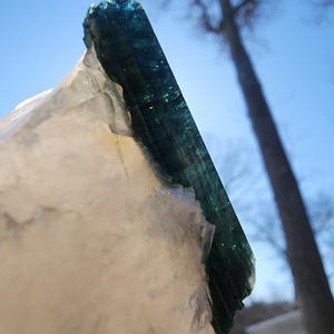 Blue Tourmaline var. Indicolite in Quartz from Minas Gerais, Brazil