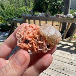 K&ouml;nnte beinhalten: Ein Cluster aus orangefarbenen und wei&szlig;en Kristallen. Die orangefarbenen Kristalle sind f&auml;cherf&ouml;rmig angeordnet, w&auml;hrend die wei&szlig;en Kristalle runder sind. Die Kristalle werden in einer Hand gehalten.