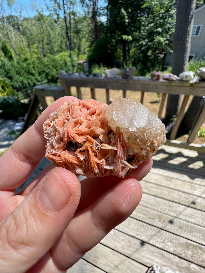 K&ouml;nnte beinhalten: Ein Cluster aus orangefarbenen und wei&szlig;en Kristallen. Die orangefarbenen Kristalle sind f&auml;cherf&ouml;rmig angeordnet, w&auml;hrend die wei&szlig;en Kristalle runder sind. Die Kristalle werden in einer Hand gehalten.