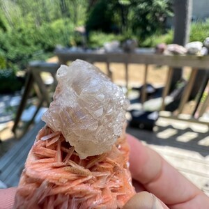 K&ouml;nnte beinhalten: Ein Cluster aus rosa Selenitkristallen mit einem klaren Quarzkristall obenauf. Die Kristalle befinden sich in einer Hand, und der Hintergrund ist verschwommen.
