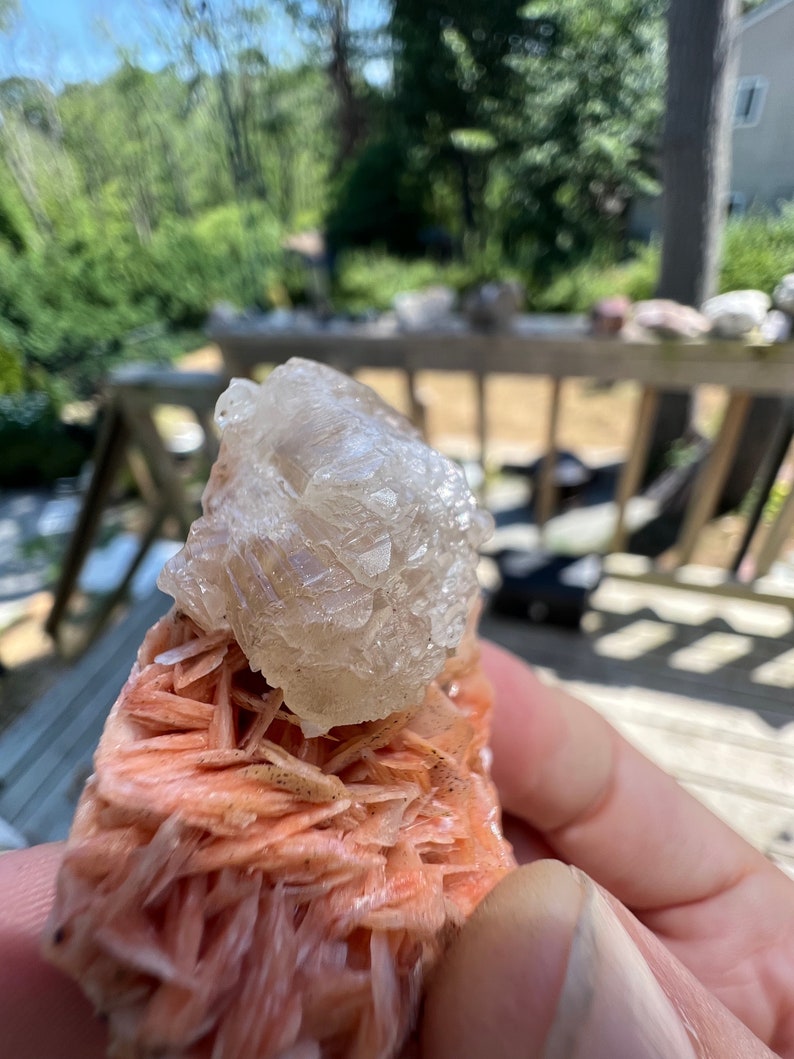 K&ouml;nnte beinhalten: Ein Cluster aus rosa Selenitkristallen mit einem klaren Quarzkristall obenauf. Die Kristalle befinden sich in einer Hand, und der Hintergrund ist verschwommen.