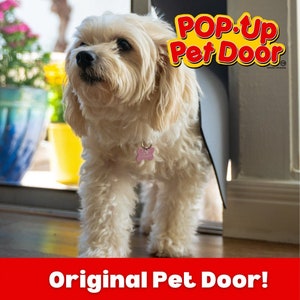 BEST! Pet Door for Chihuahua and Dachshund FRAMELESS Pet Door for Dogs Cats-sliding doors