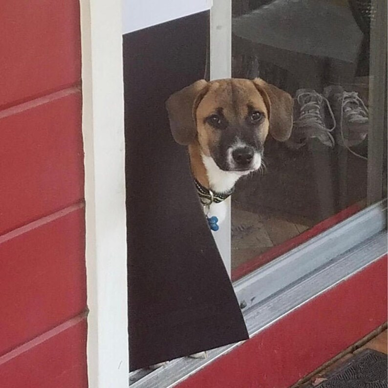 Easy to Install Pet Door for Dogs and Cats for 7880 Etsy